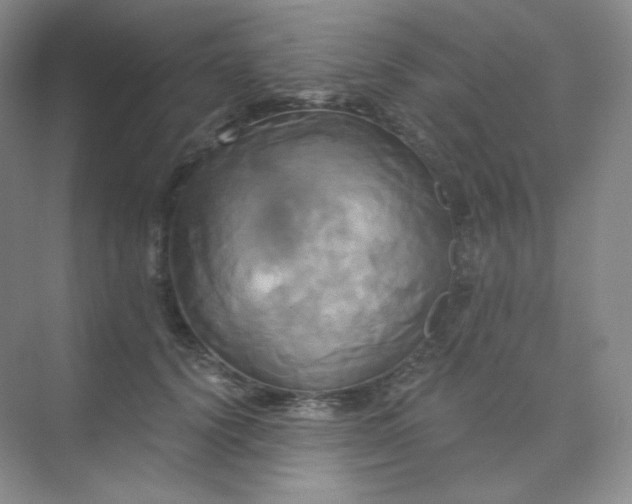 X0000075900656200609291733