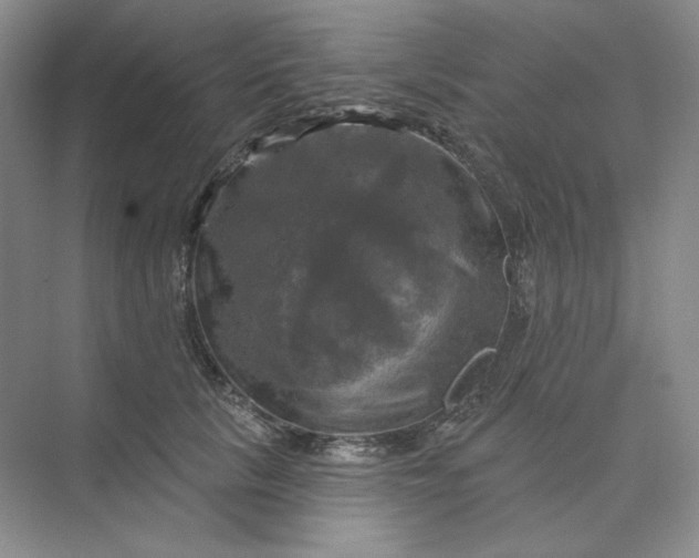 X0000075900657200609291733