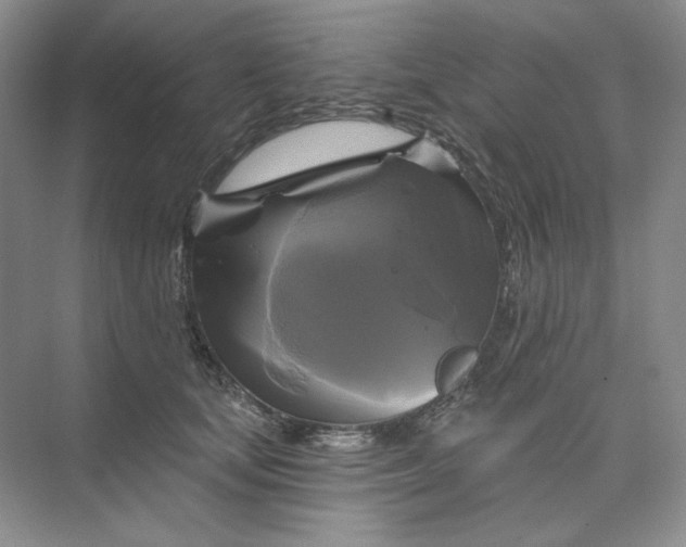 X0000075900659200609291733