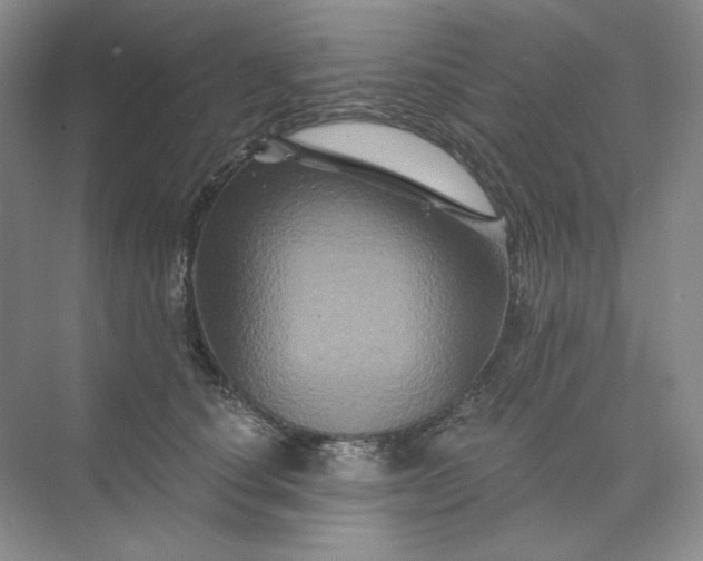 X0000075900660200609291733