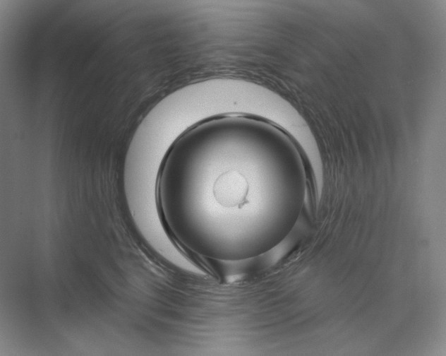 X0000075900664200609291733