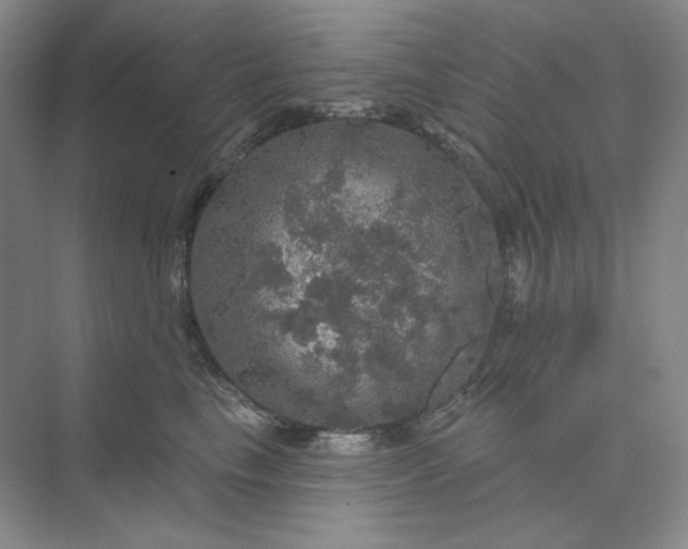 X0000075900665200609291733