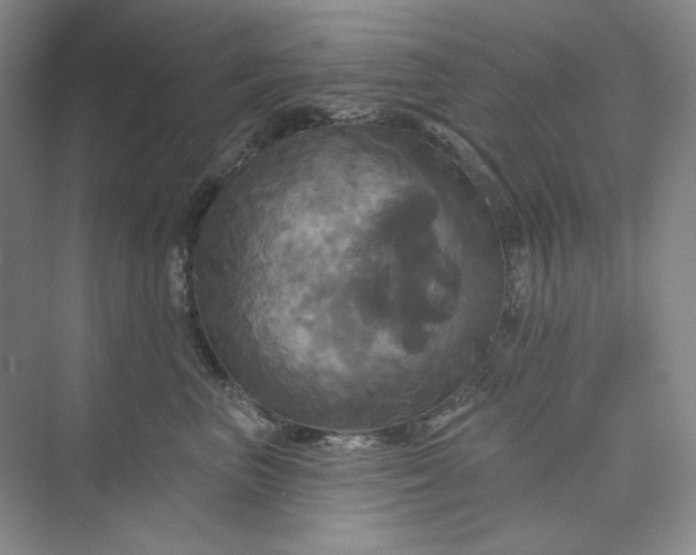 X0000075900667200609291733