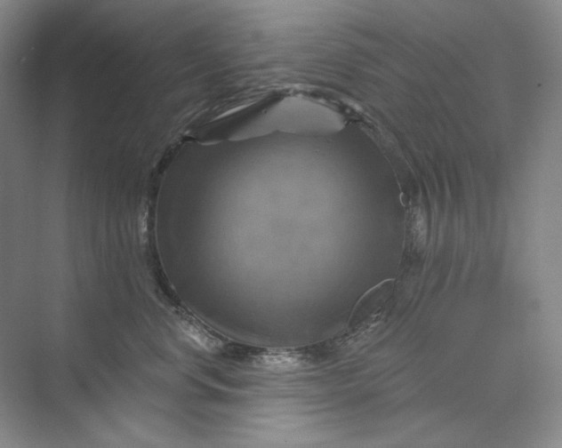 X0000075900668200609291733