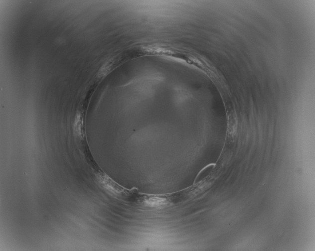 X0000075900669200609291733