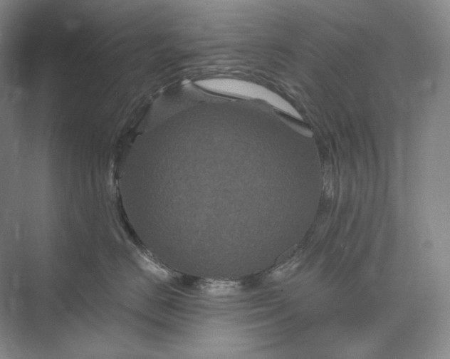 X0000075900670200609291733