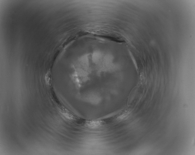 X0000075900671200609291733