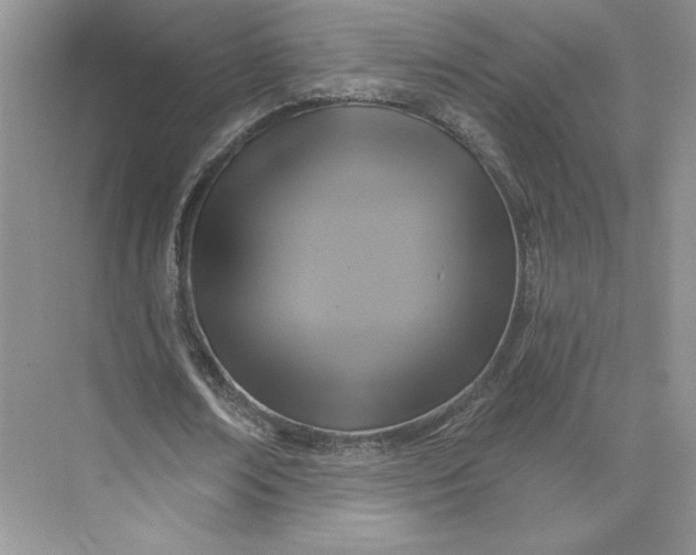 X0000075900674200609291732