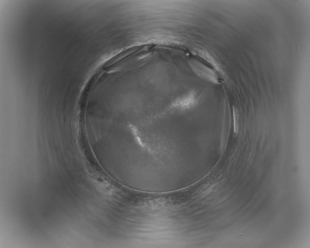 X0000075900675200609291732