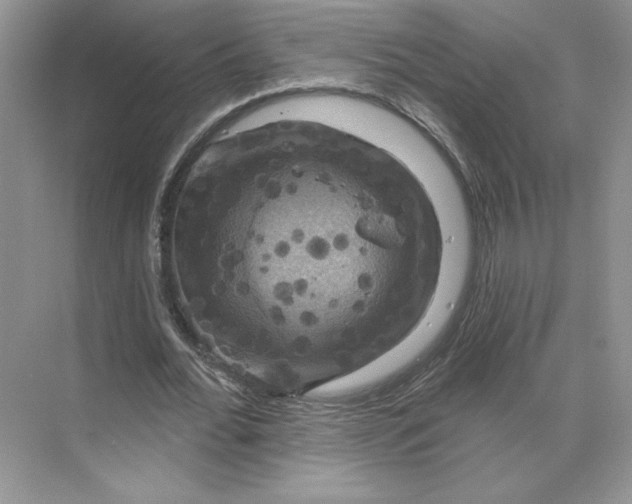 X0000075900676200609291732