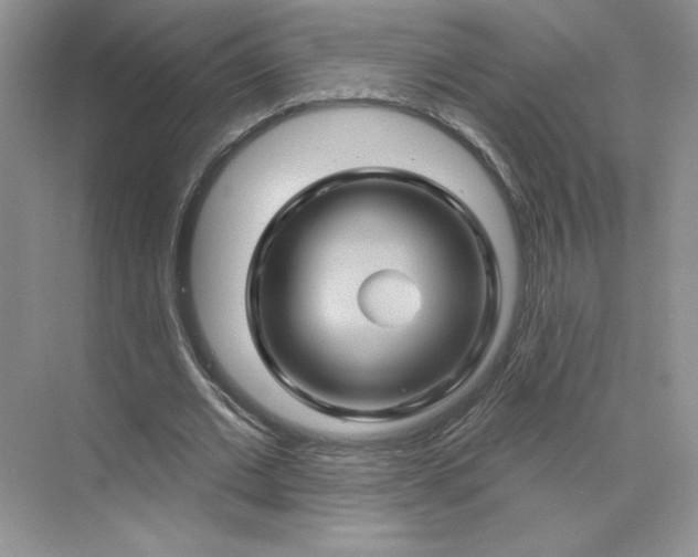 X0000075900677200609291732