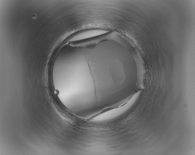 X0000075900678200609291732