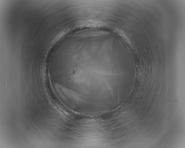 X0000075900679200609291732