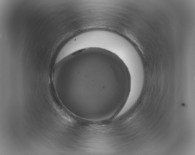 X0000075900681200609291732