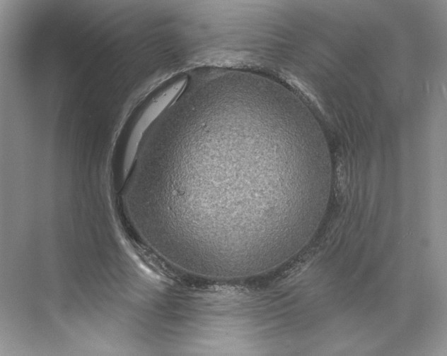 X0000075900682200609291732