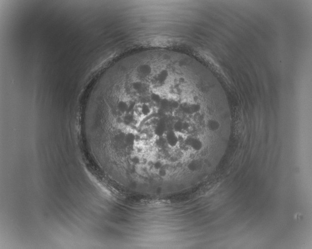 X0000075900683200609291732