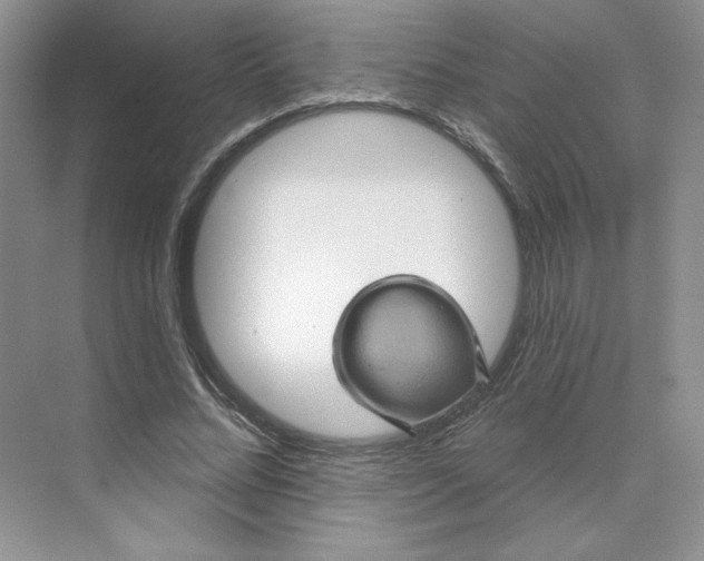 X0000075900684200609291732