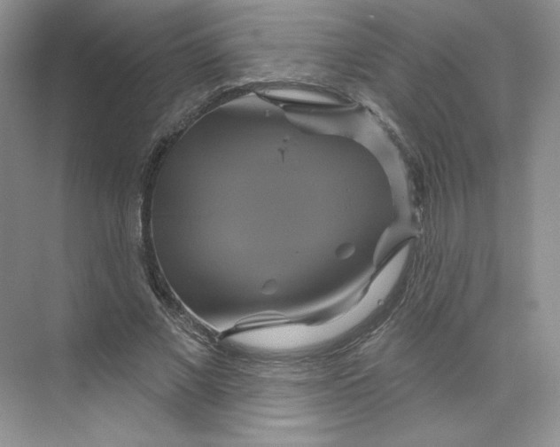 X0000075900685200609291732