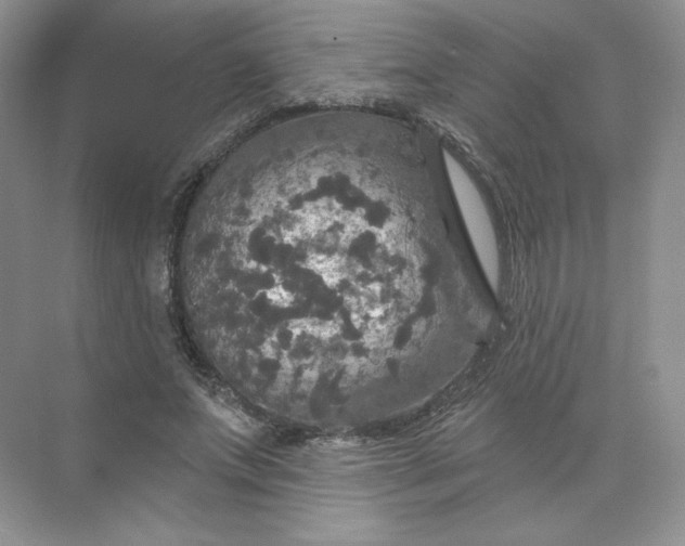 X0000075900687200609291732