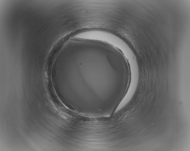 X0000075900688200609291732