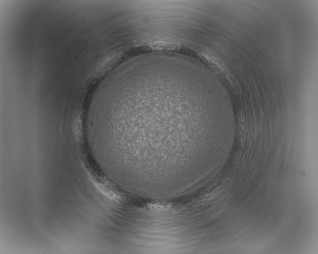 X0000075900690200609291732