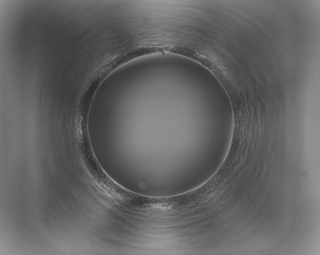 X0000075900692200609291732