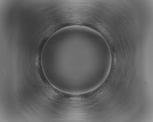 X0000075900693200609291732