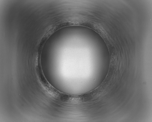 X0000075900694200609291732