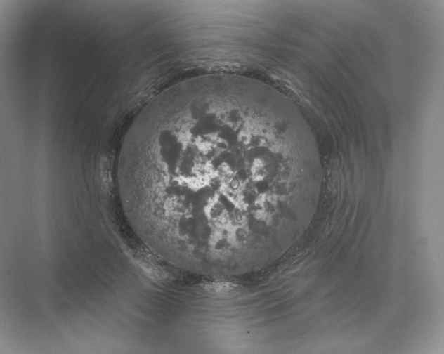 X0000075900695200609291732