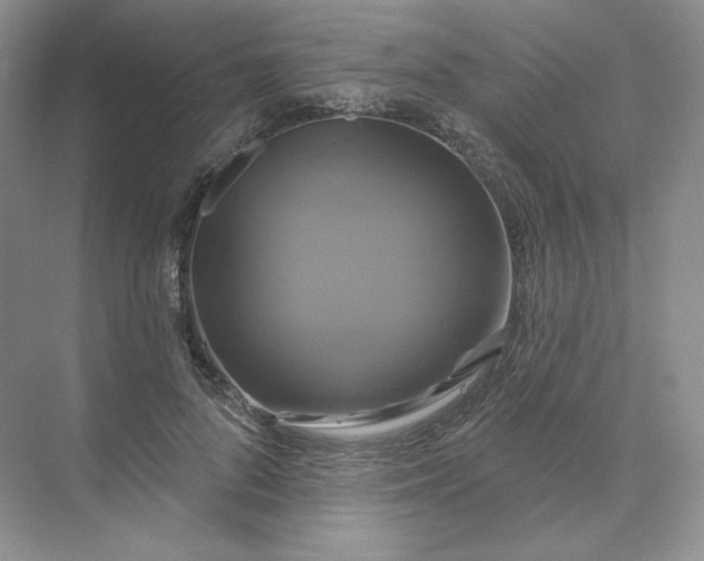 X0000075900696200609291732