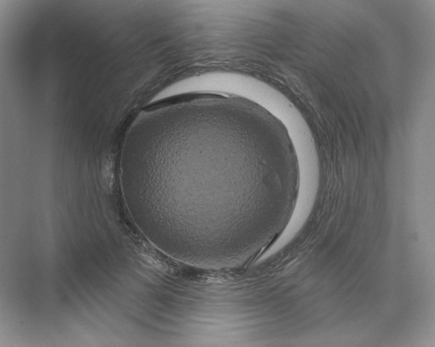 X0000075900697200609291732