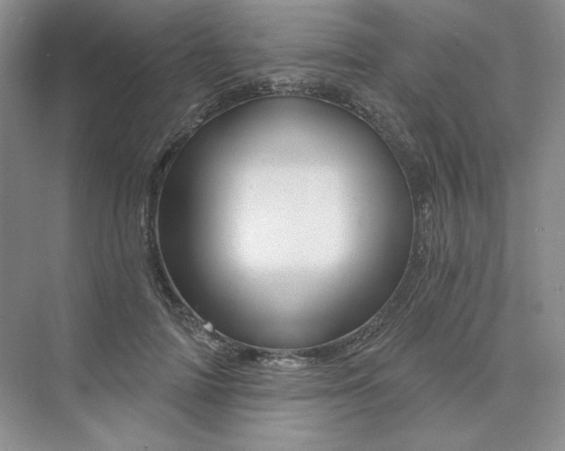 X0000075900698200609291732