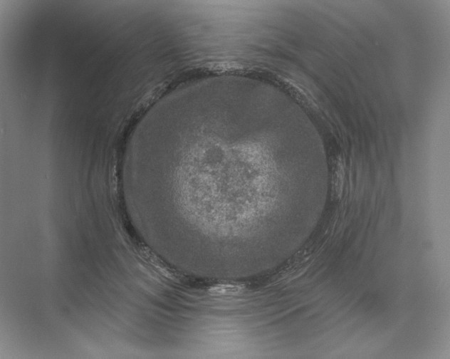 X0000075900700200609291732