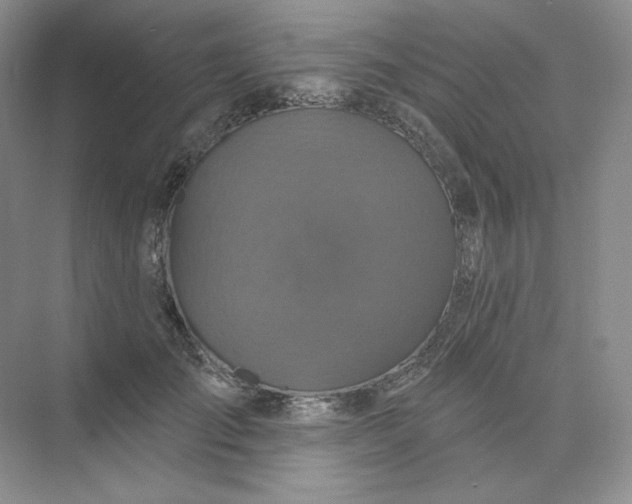 X0000075900701200609291732