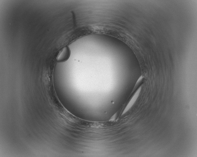 X0000075900702200609291732