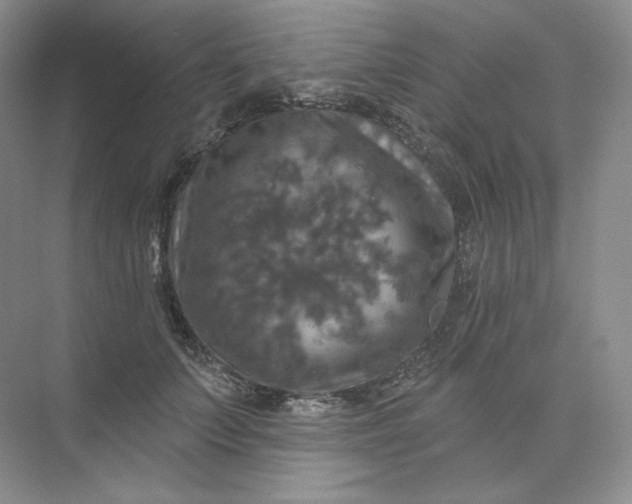 X0000075900703200609291732