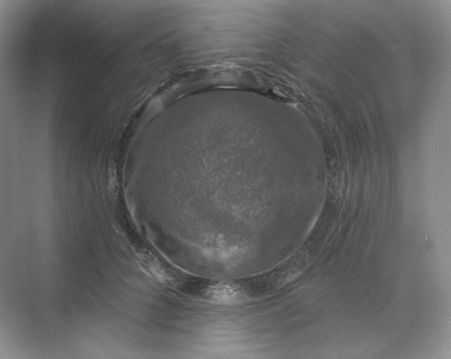 X0000075900704200609291732