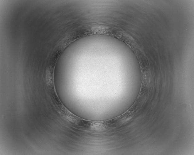 X0000075900705200609291732