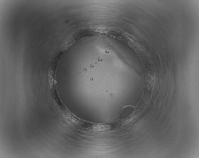 X0000075900707200609291732