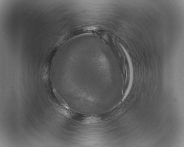 X0000075900708200609291732