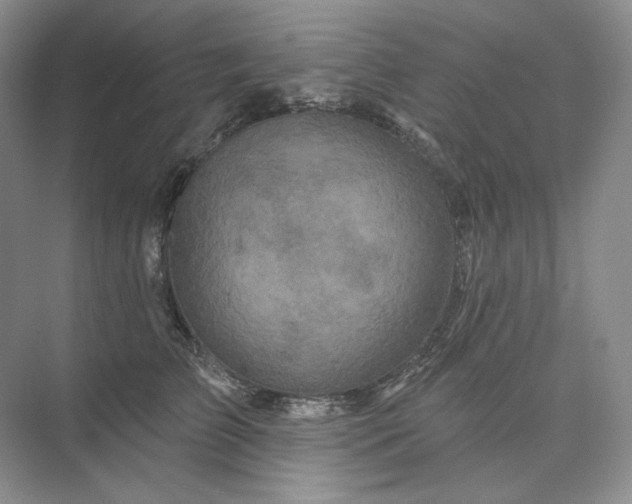 X0000075900709200609291732