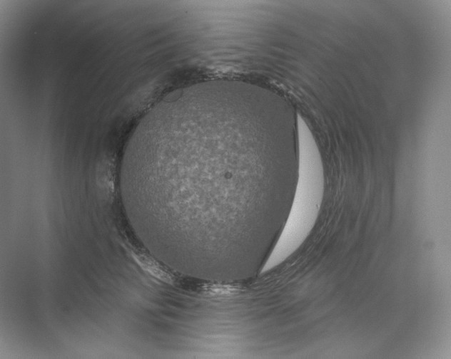 X0000075900710200609291732