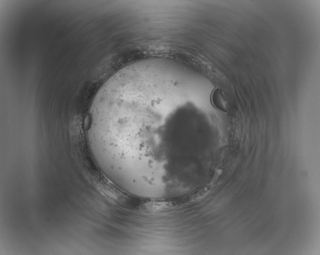 X0000075900711200609291732