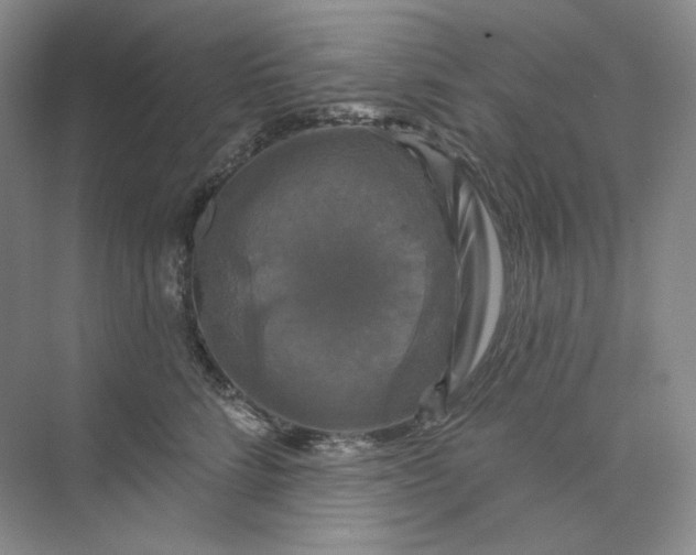 X0000075900712200609291732