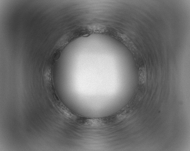 X0000075900713200609291732