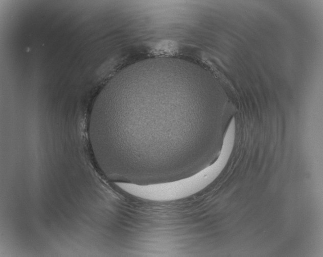 X0000075900714200609291732