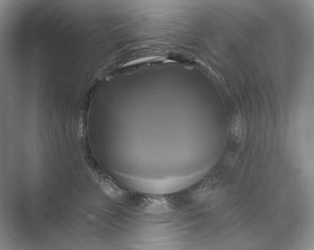 X0000075900715200609291732