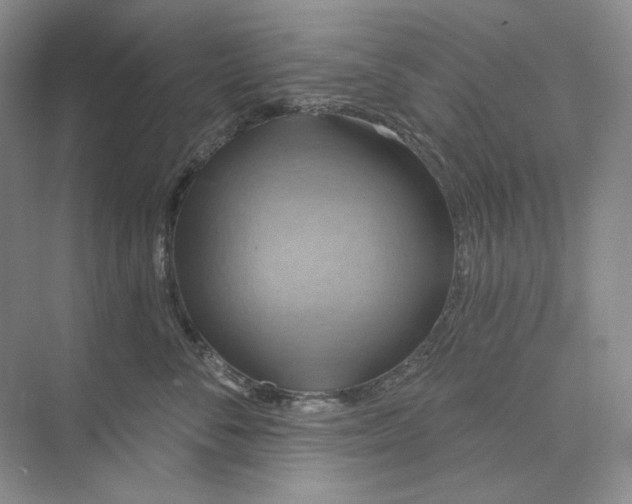 X0000075900716200609291732