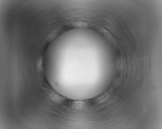 X0000075900717200609291732