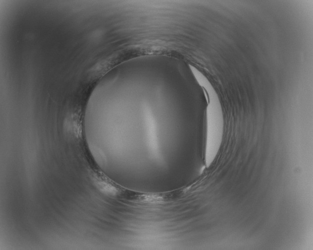 X0000075900719200609291732